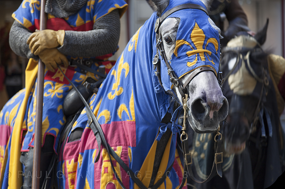 medieval jousting horses Medieval horse, Horse armor, Medieval knight