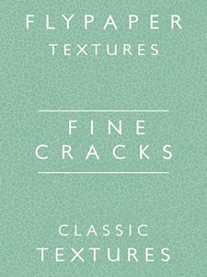 Fine Cracks label