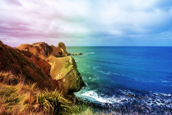 Organic Gradients - Image 4