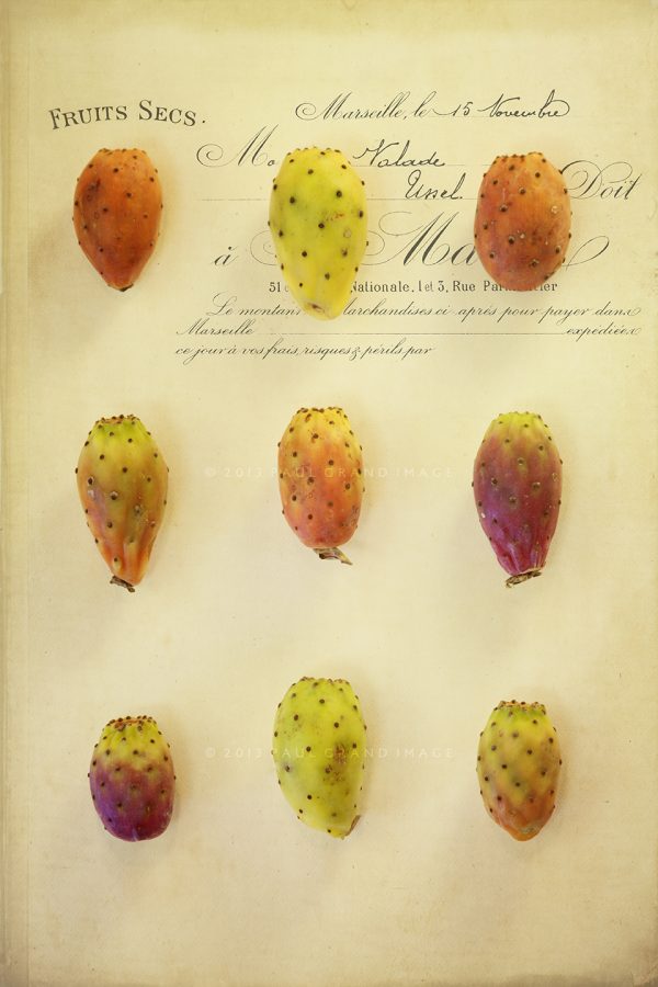 Prickly pears with added Flypaper textures