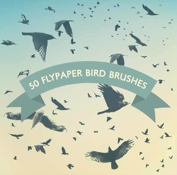 Flypaper bird brushes for photoshop