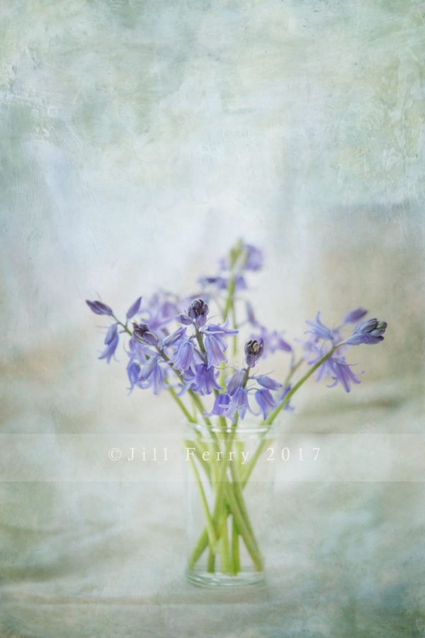 Bluebells in a vase with textures from Flypaper Textures