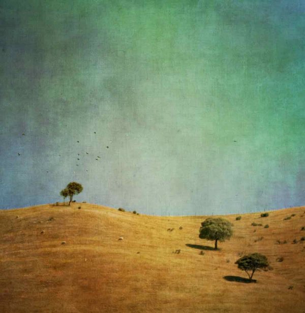 Summer hills with texture