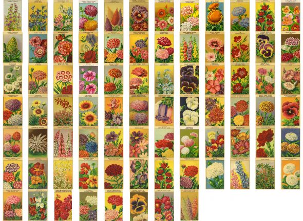Vintage flower labels by Flypaper Textures