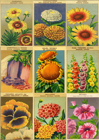 Vintage Flower labels by Flypaper Textures