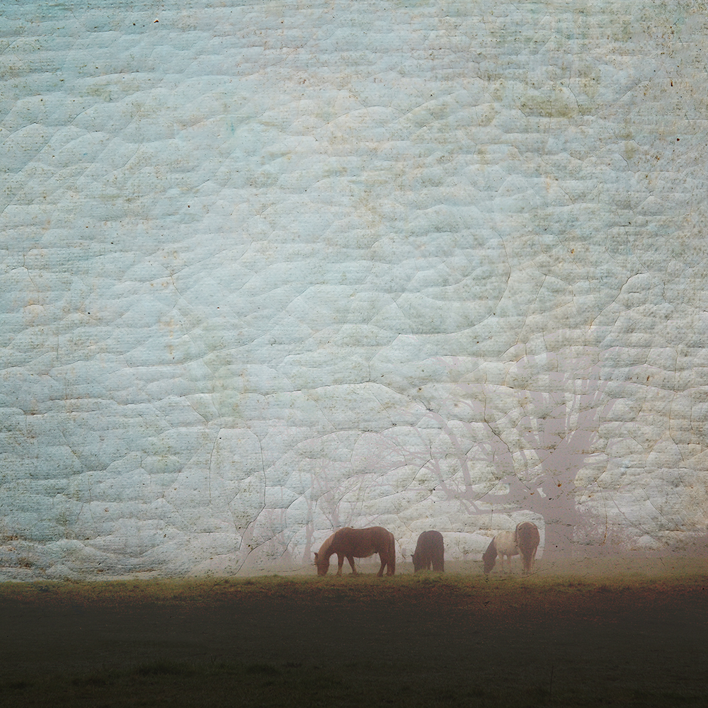 Arcadia Painterly Textures - Image 5