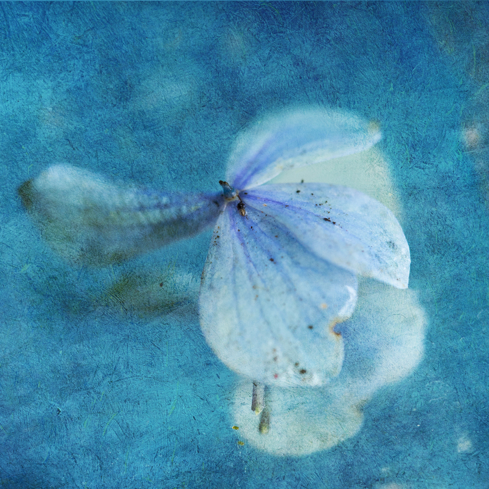 Arcadia Painterly Textures - Image 8
