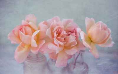 Painterly Roses