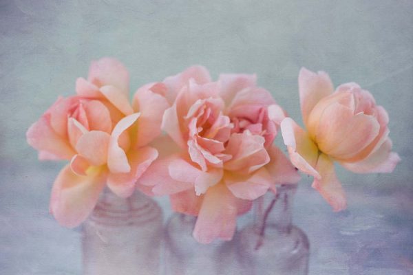 Roses after texturing with Flypaper textures
