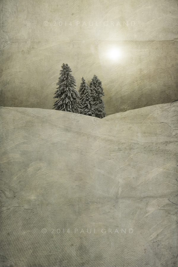 Snow Trees with added Flypaper textures