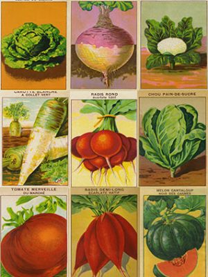 Vintage Vegetable labels by Flypaper Textures