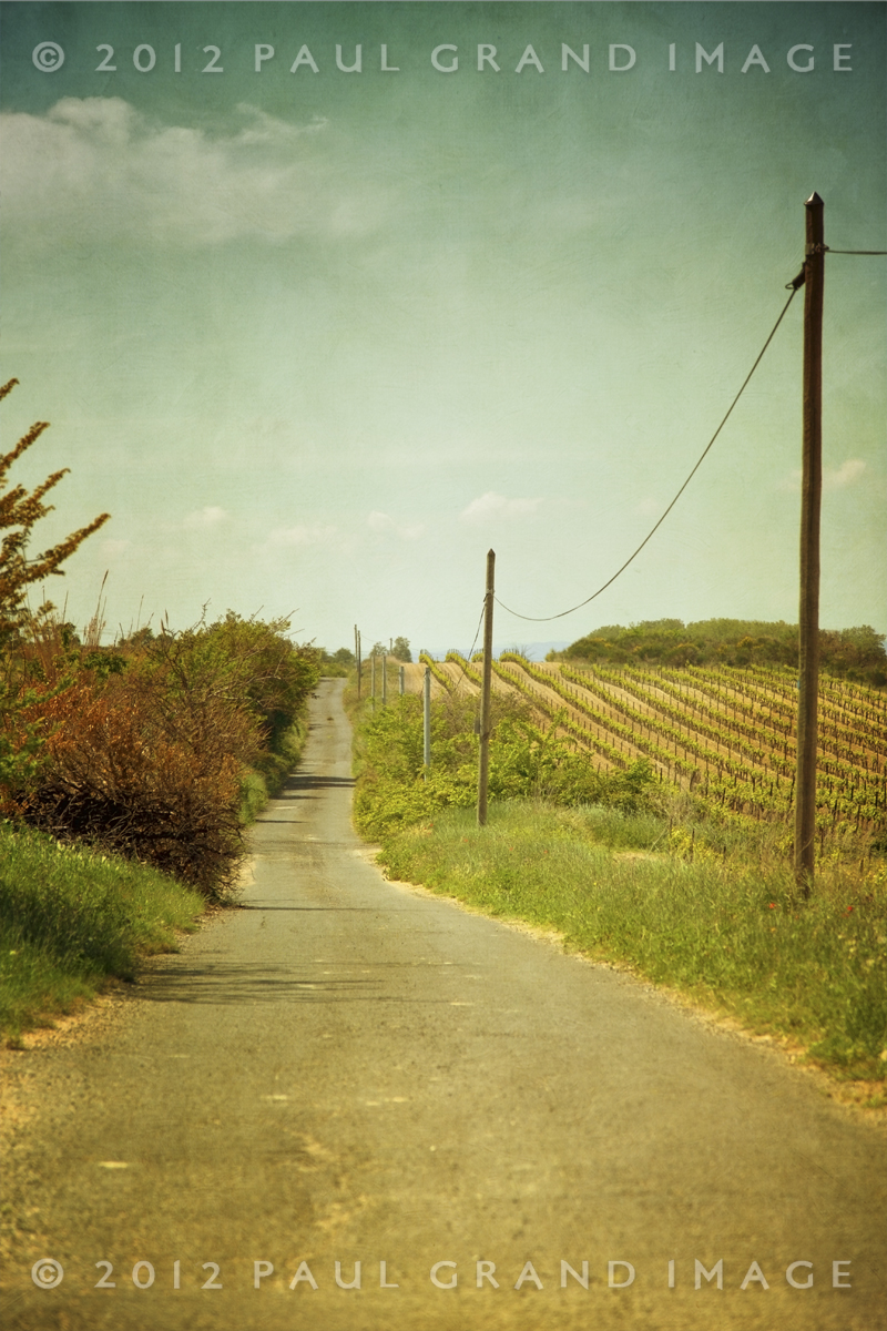 a vine road less taken